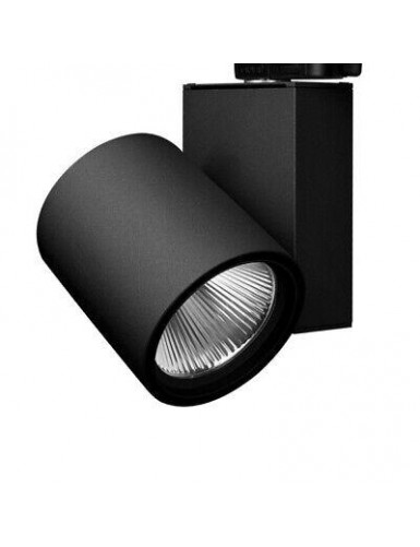 Spotlight pour TrackMan